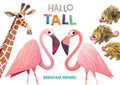 Hallo tall – fargerik bildebok av Brendan Wenzel med illustrasjoner av sjiraff, flamingoer og piggsvin.